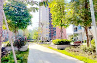 觀瀾松元廈村委統(tǒng)建樓-御湖花園小區(qū)房,離地鐵幾百米,