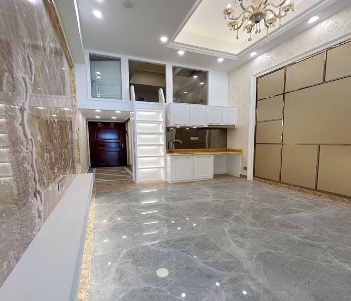 沙井小產權房屋-華商報電子版